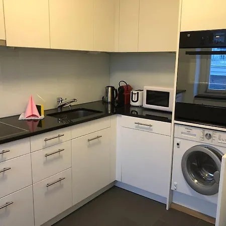 Penthouse Flat In The Center/near Zurique