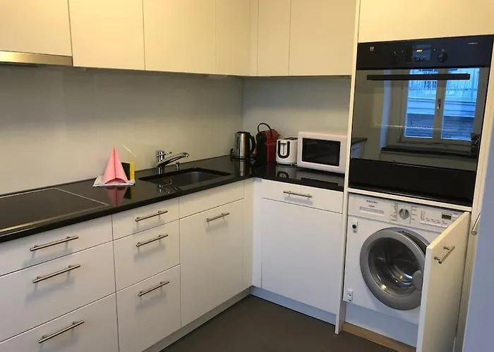 Penthouse Flat In The Center/near Zurich