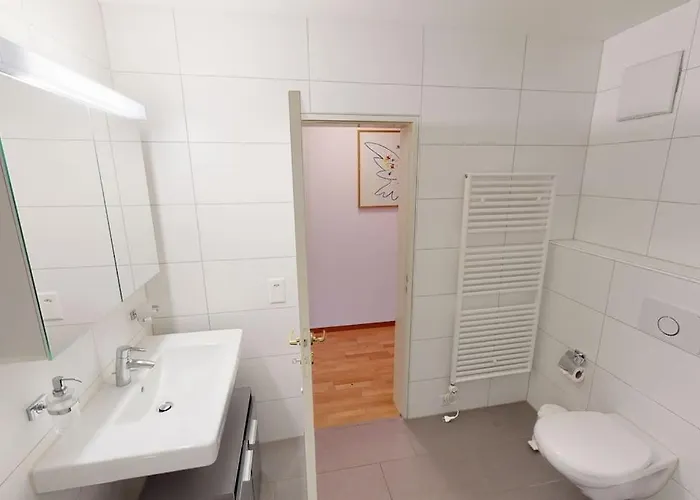 Apartment Penthouse Flat In The Center/near Zürich