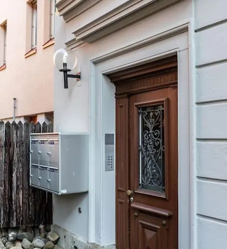 Apartment Penthouse Flat In The Center/near Zürich